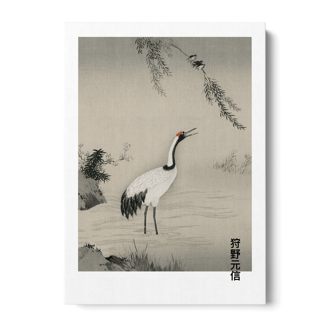 Japanese Crane In Water Canvas