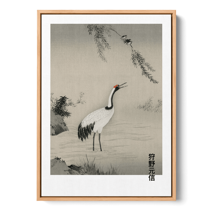 Japanese Crane In Water Canvas