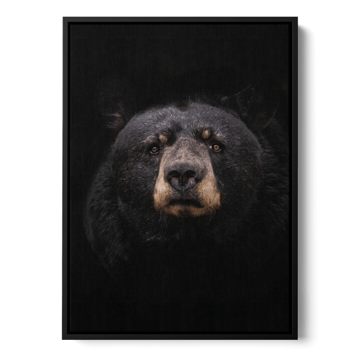 Black Bear Canvas