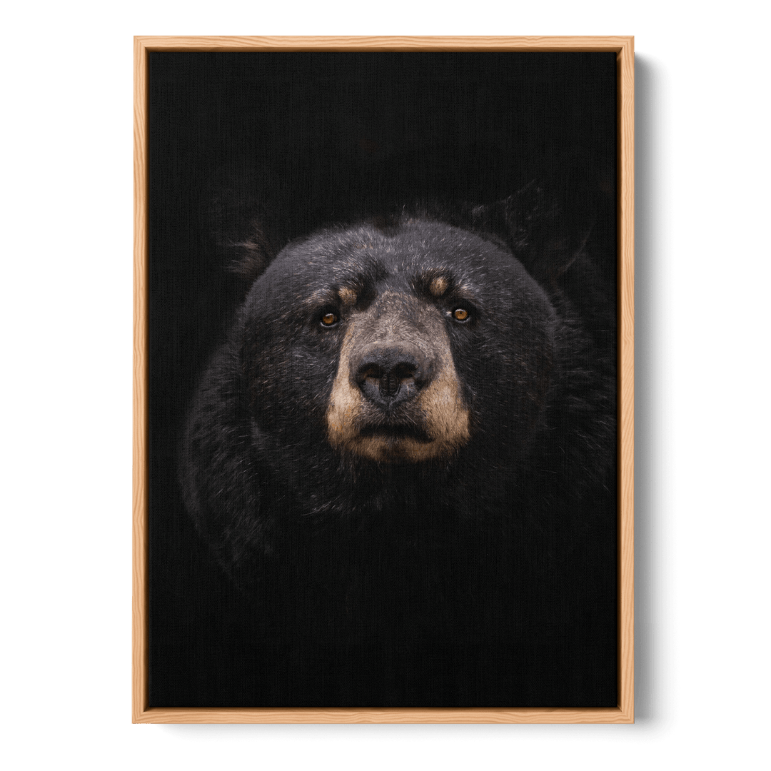 Black Bear Canvas