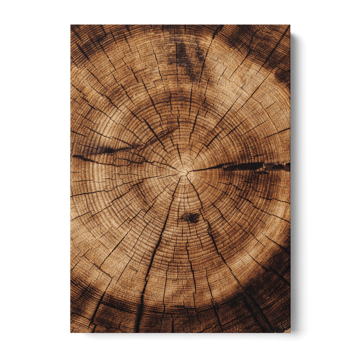 Close Up Of Tree Canvas
