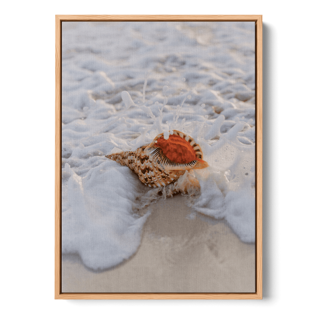 Conch On The Beach Canvas