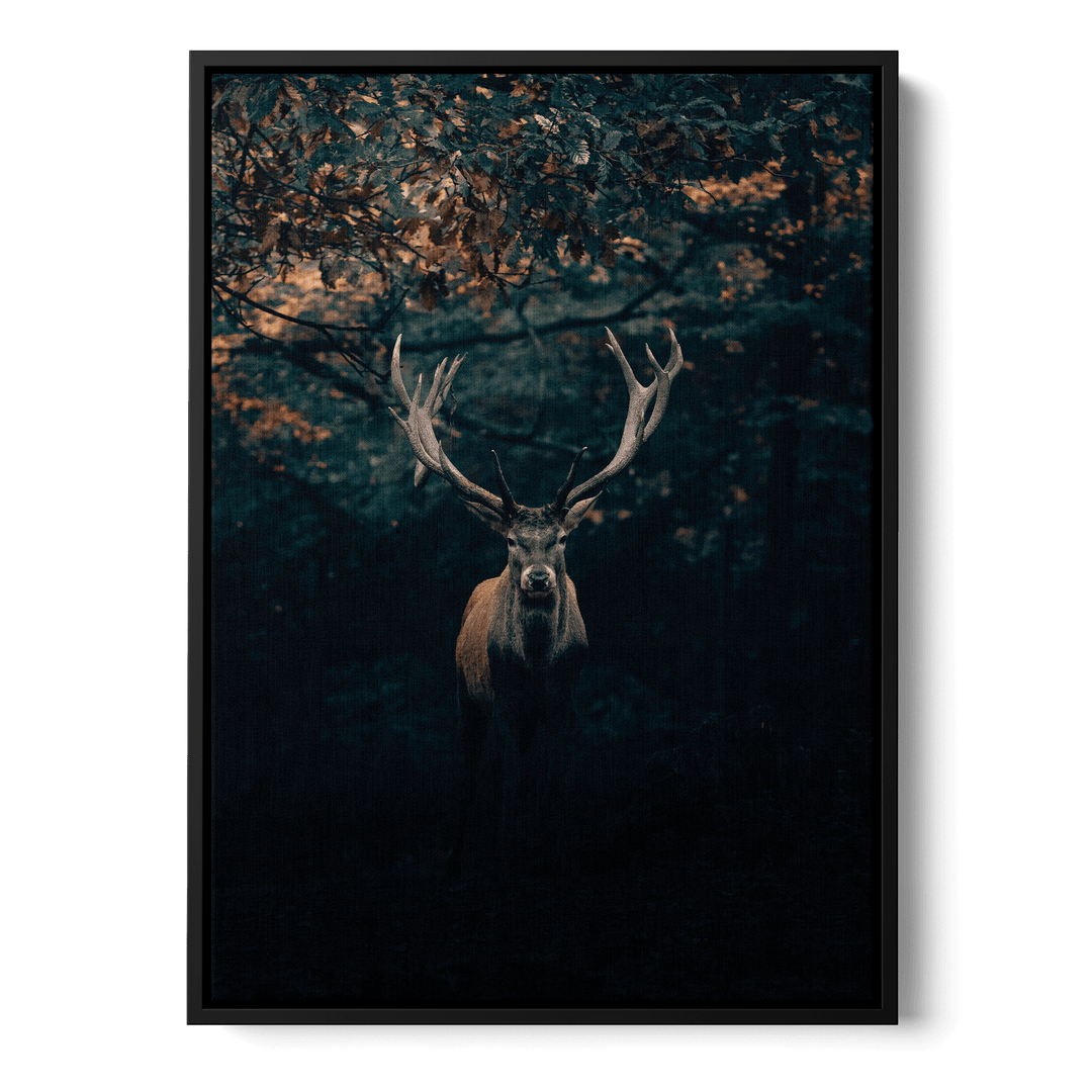 Deer In The Forest Canvas