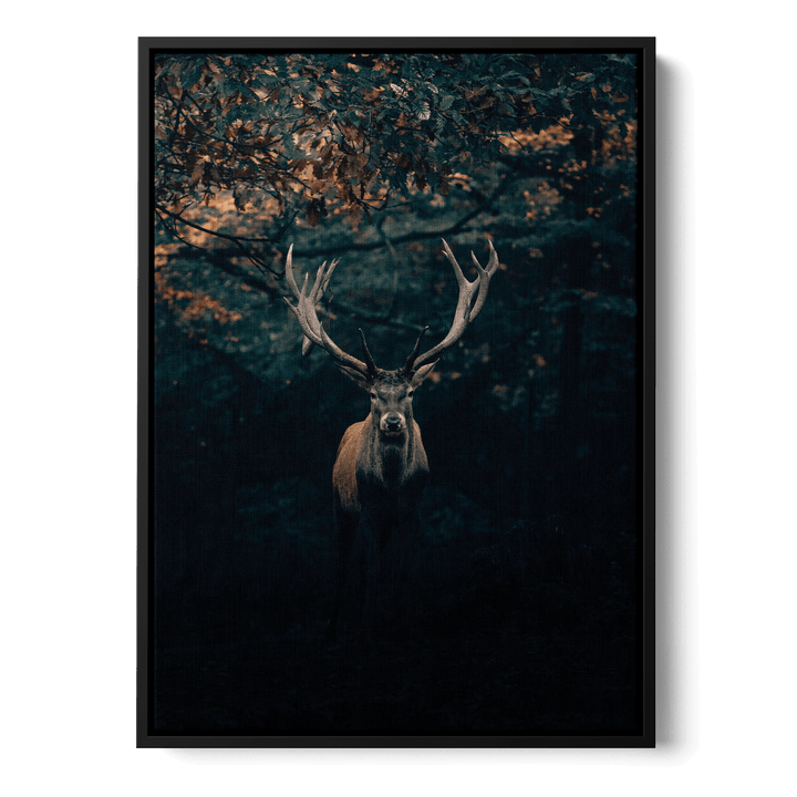 Deer In The Forest Canvas