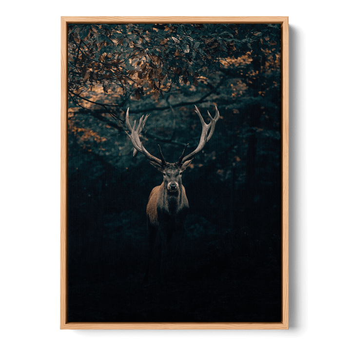 Deer In The Forest Canvas