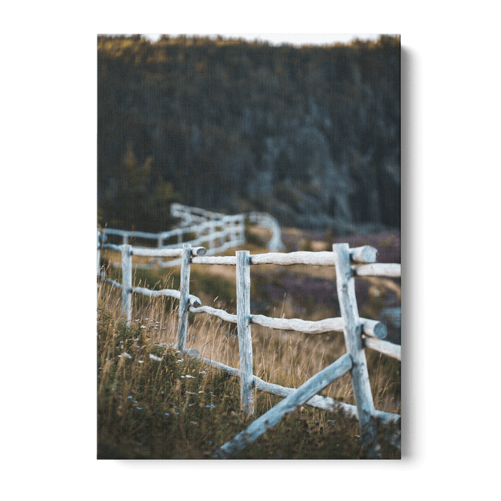 Fence In The Field Canvas