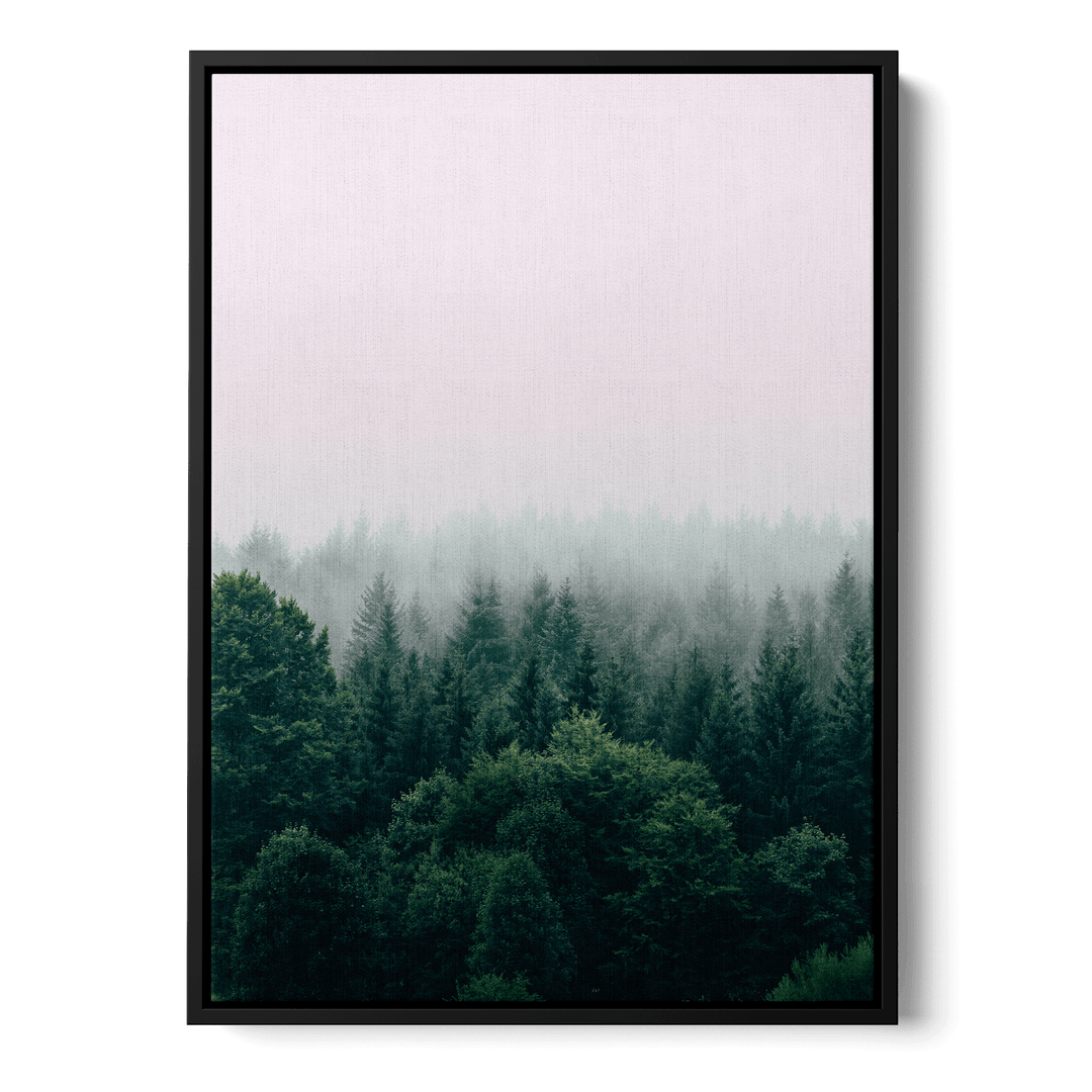 Fog Over The Forest Canvas