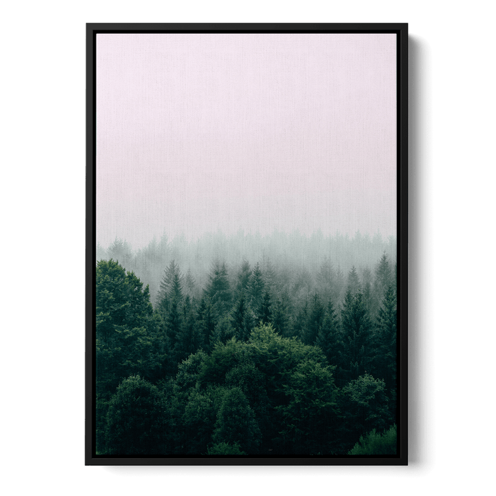 Fog Over The Forest Canvas