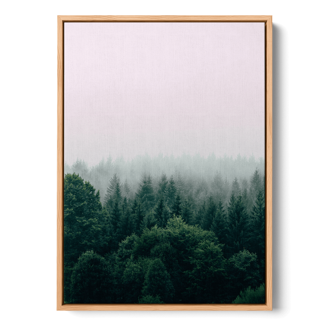 Fog Over The Forest Canvas