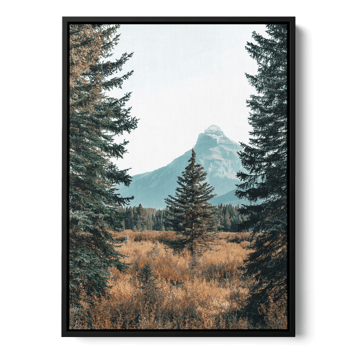 Landscape With Pinetrees Canvas