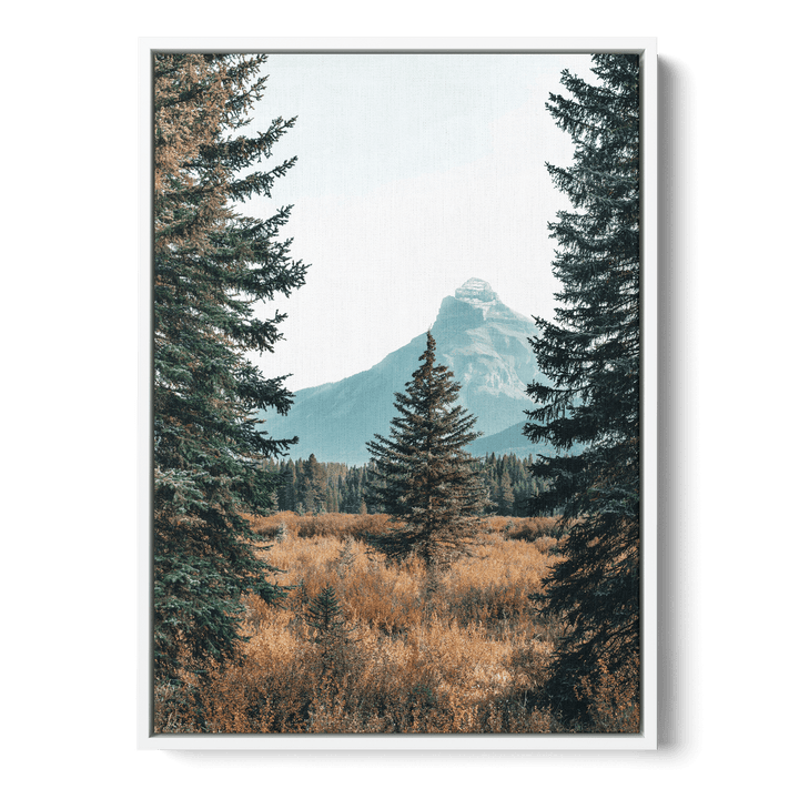 Landscape With Pinetrees Canvas