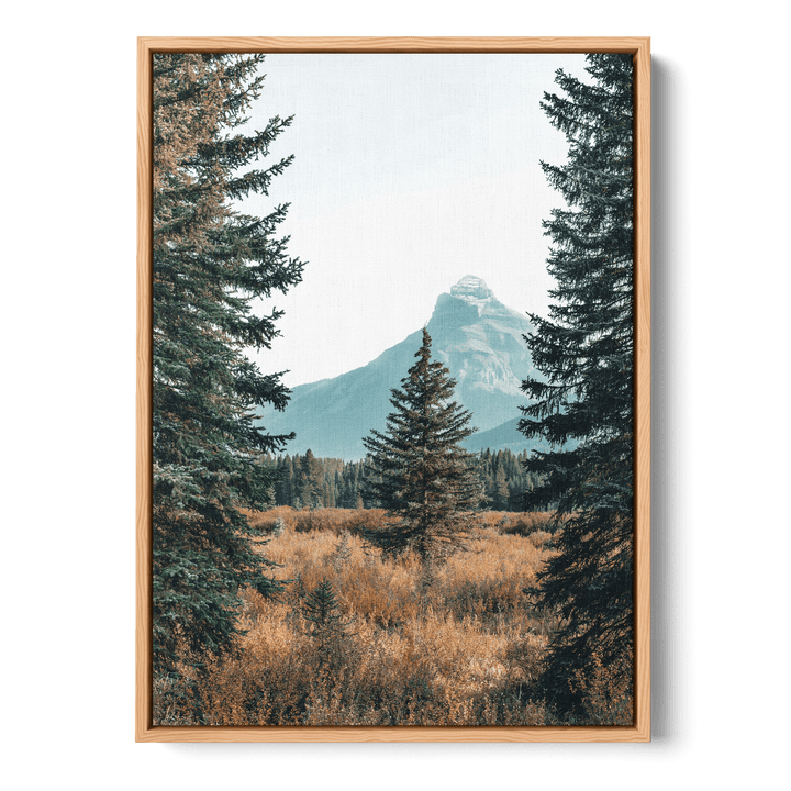 Landscape With Pinetrees Canvas