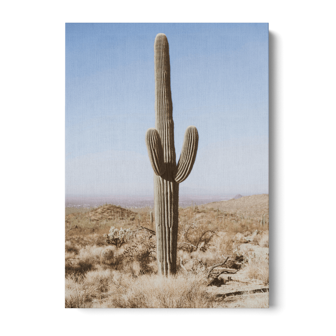 Large Cactus Canvas
