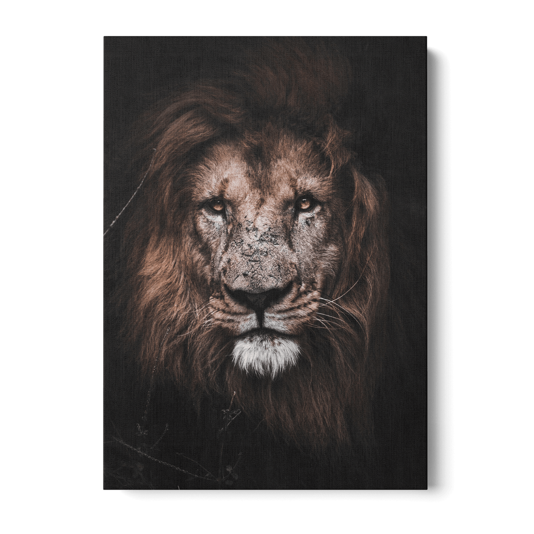 Lion Canvas