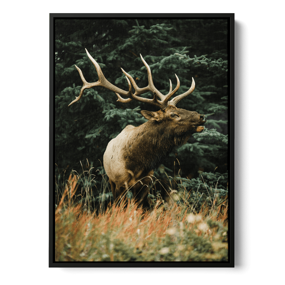 Majestic Deer Canvas