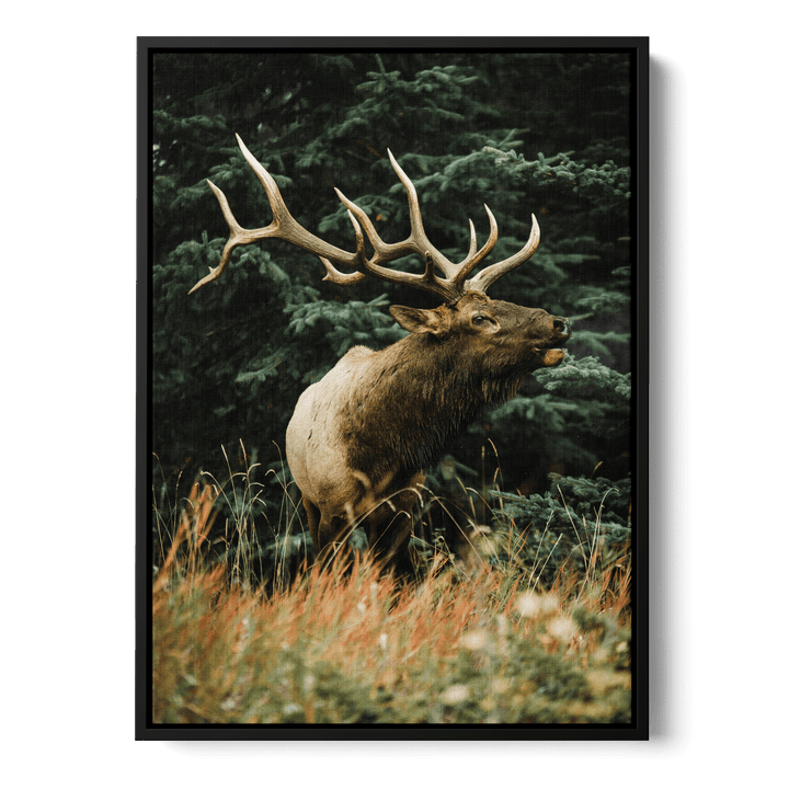 Majestic Deer Canvas