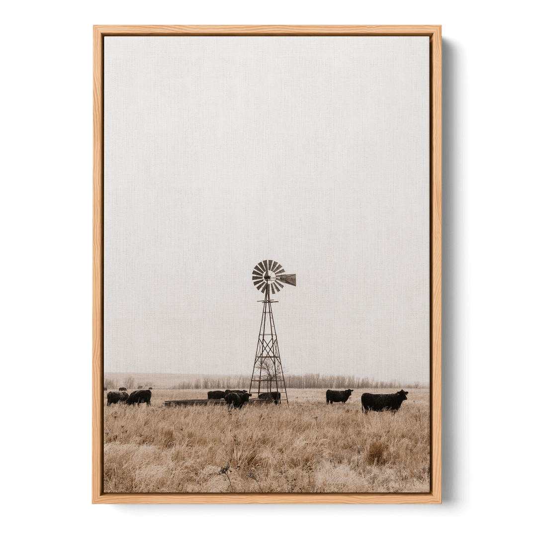 Old Fashioned Windmill Canvas