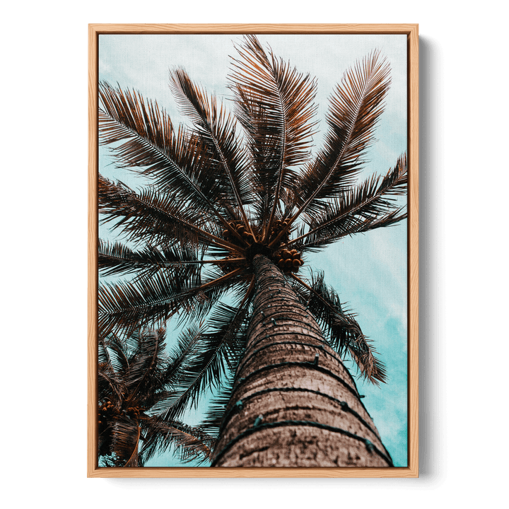 Palm Tree Canvas