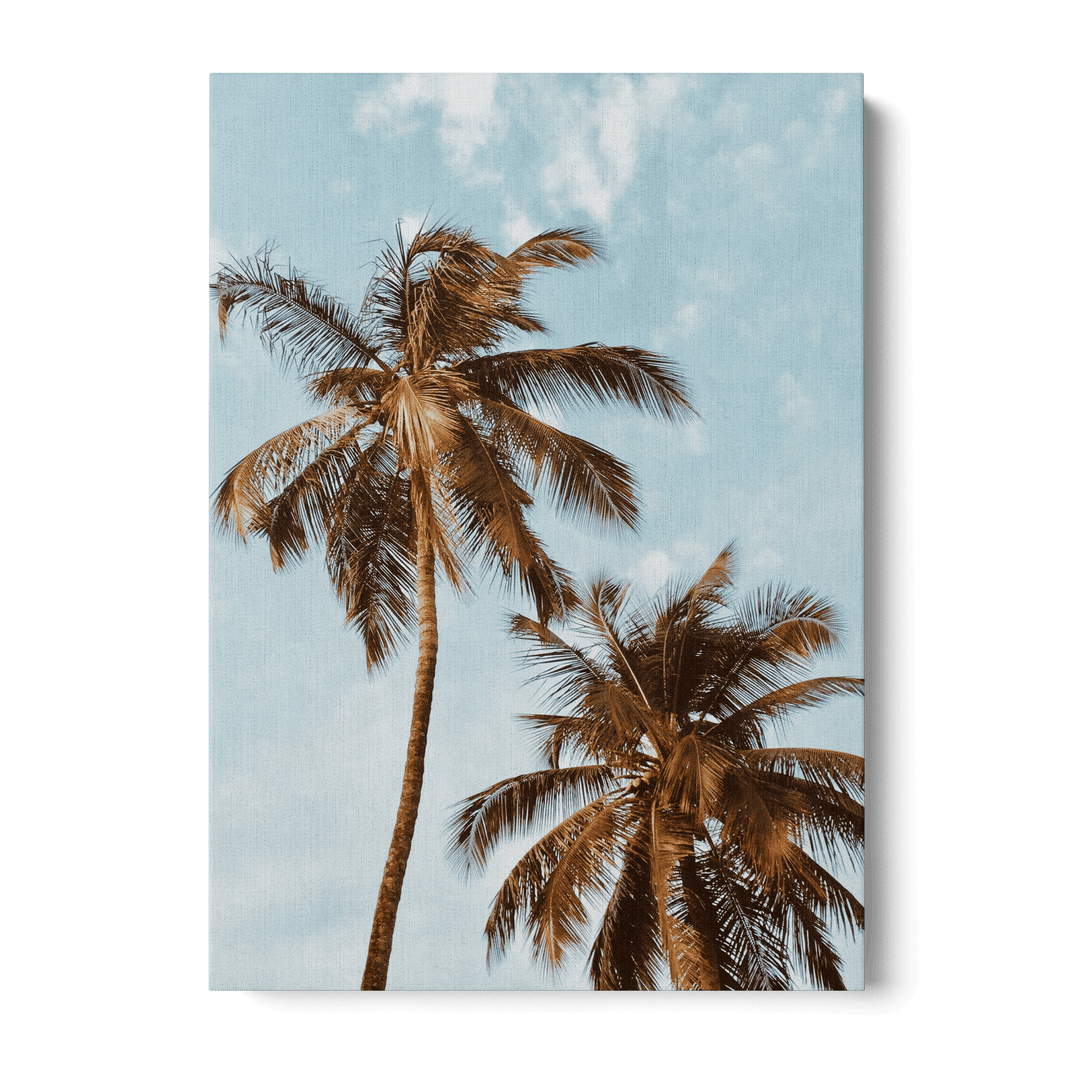 Palm Trees Canvas