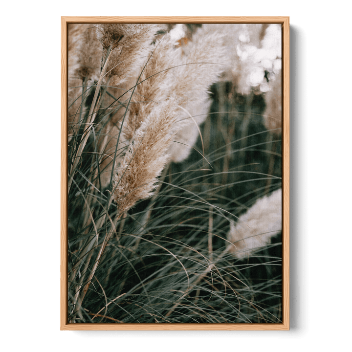 Pampas Canvas