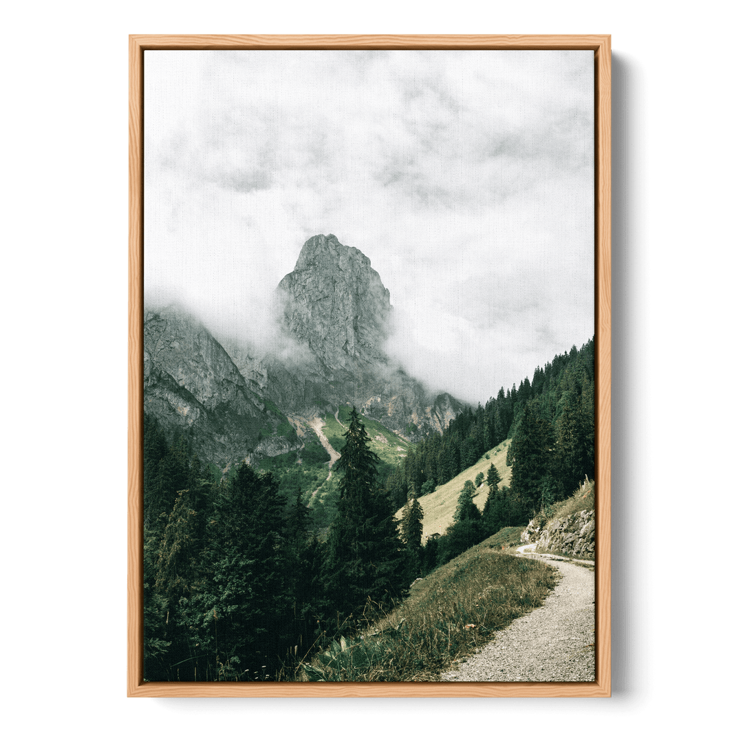 Path Overlooking The Mountains Canvas