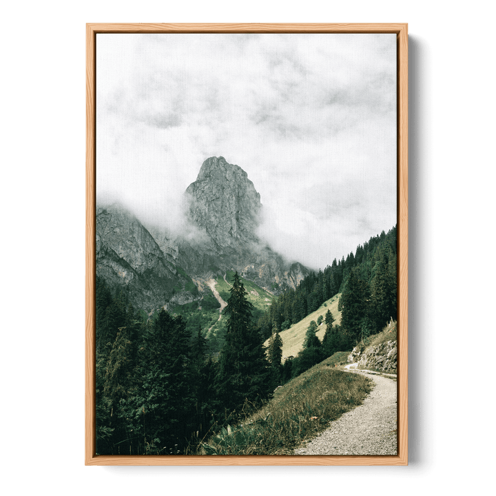 Path Overlooking The Mountains Canvas