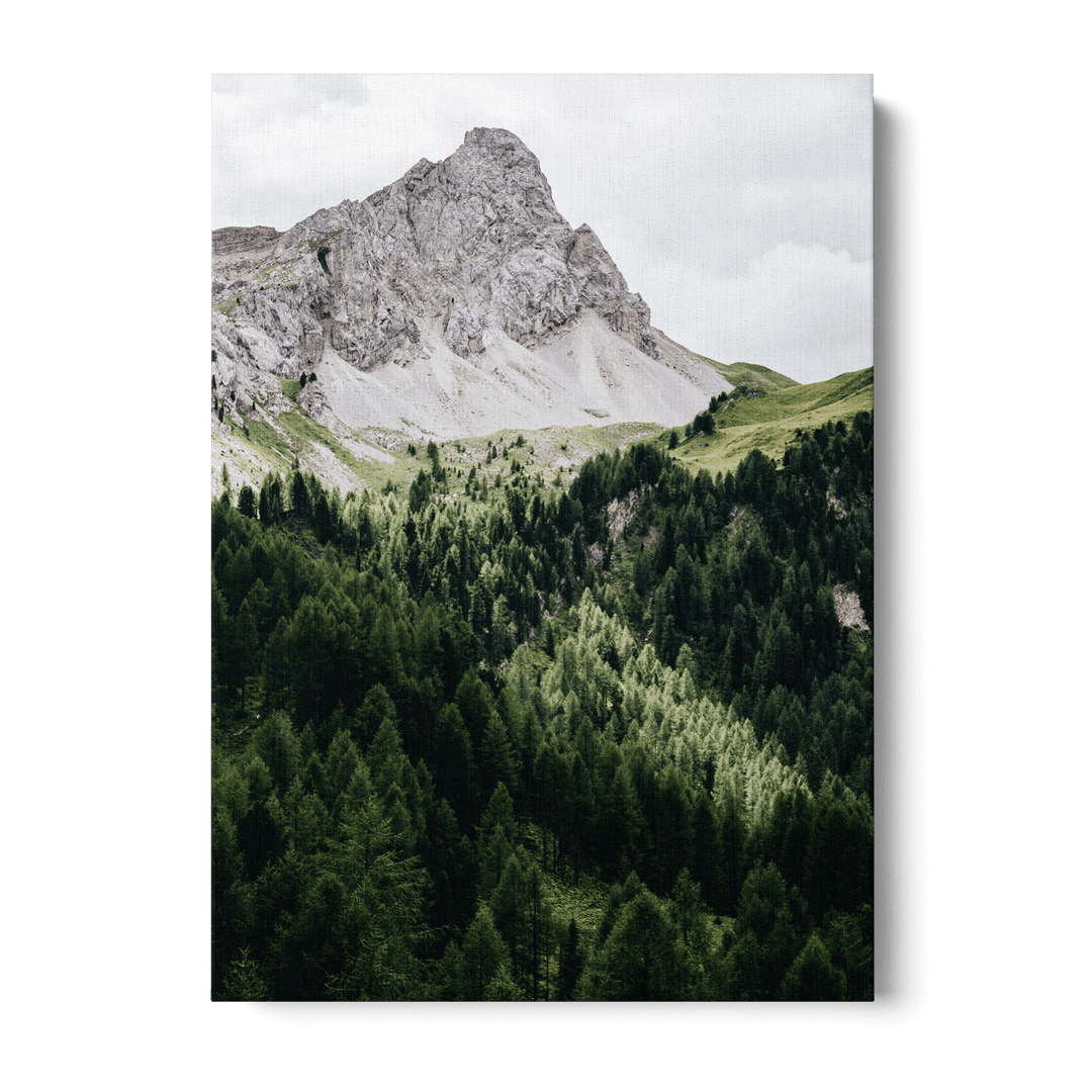 Pinetrees And Mountain Canvas