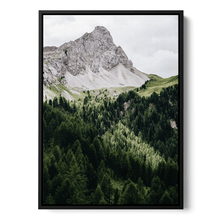 Pinetrees And Mountain Canvas