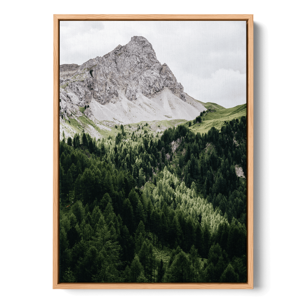 Pinetrees And Mountain Canvas