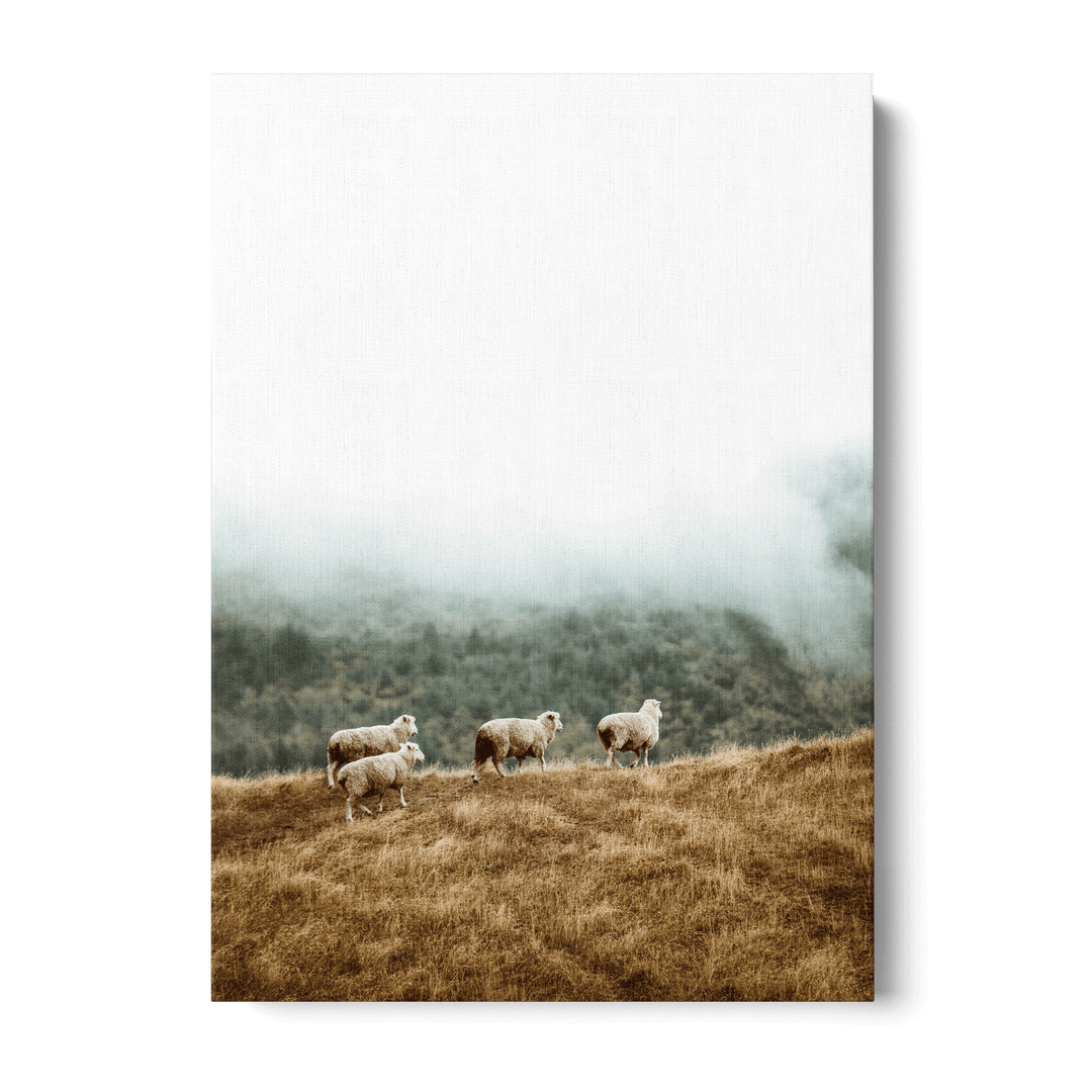 Sheep In The Meadow Canvas