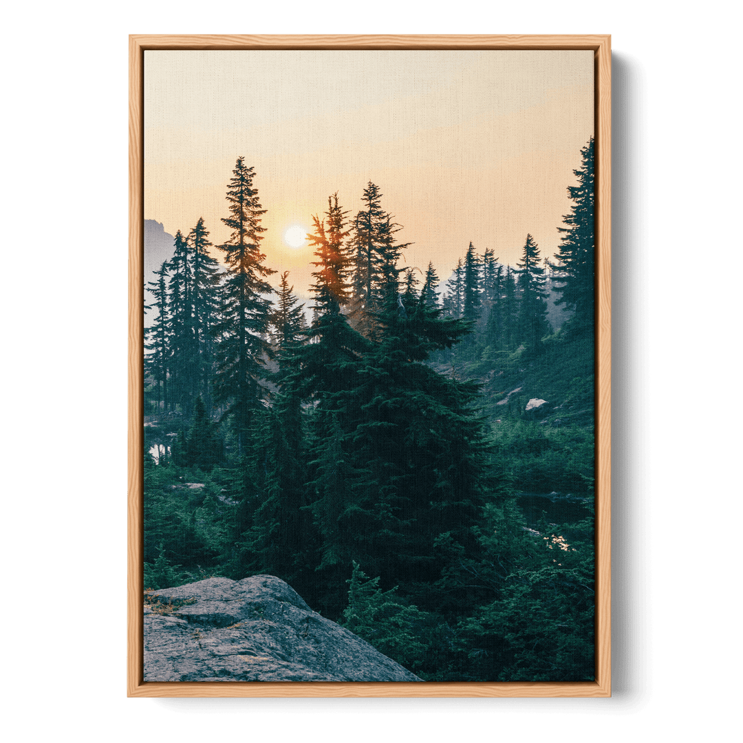 Sunshine In The Woods Canvas