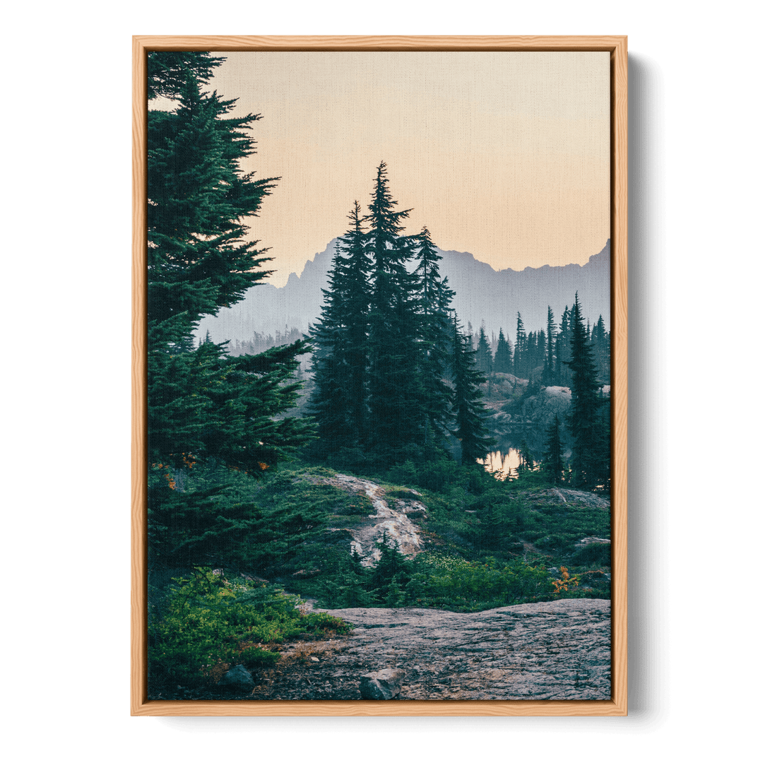 Sunshine In The Woods 2 Canvas