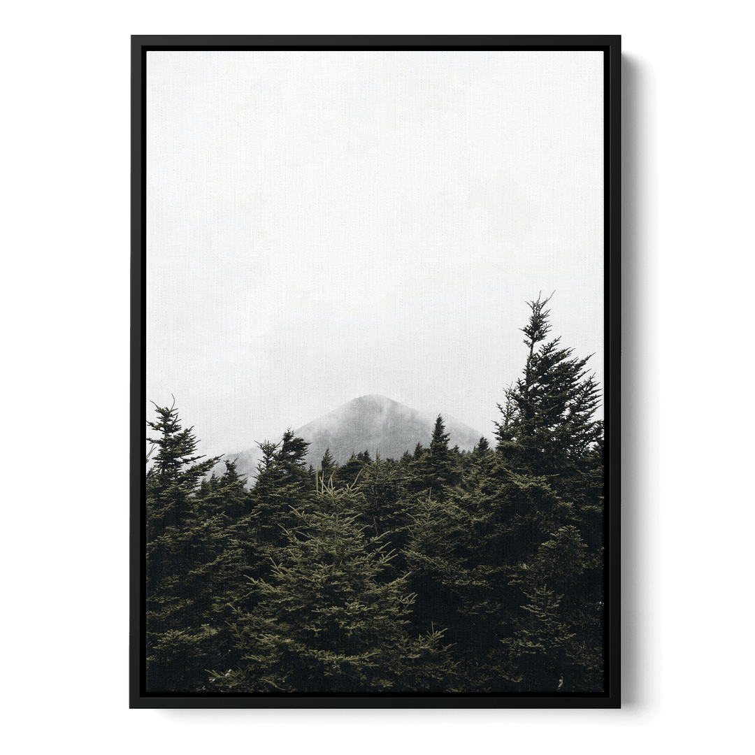 Top Of Pinetrees Canvas