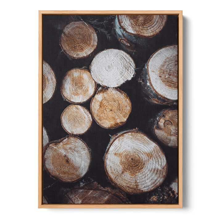 Tree Stumps Canvas