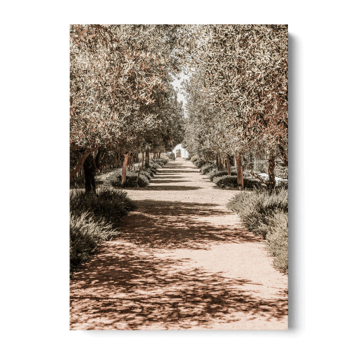 Serene Tree Lined Path Canvas