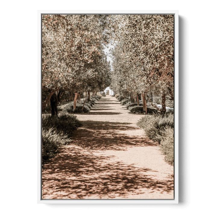 Serene Tree Lined Path Canvas