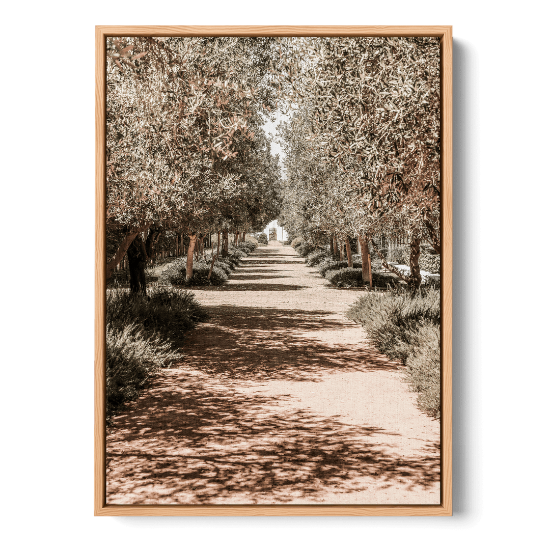 Serene Tree Lined Path Canvas