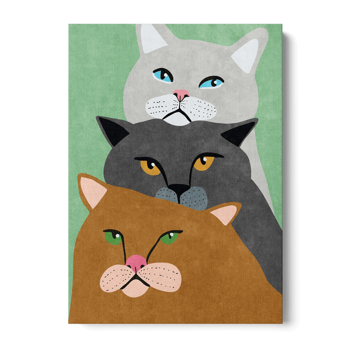 Cat Trio Canvas