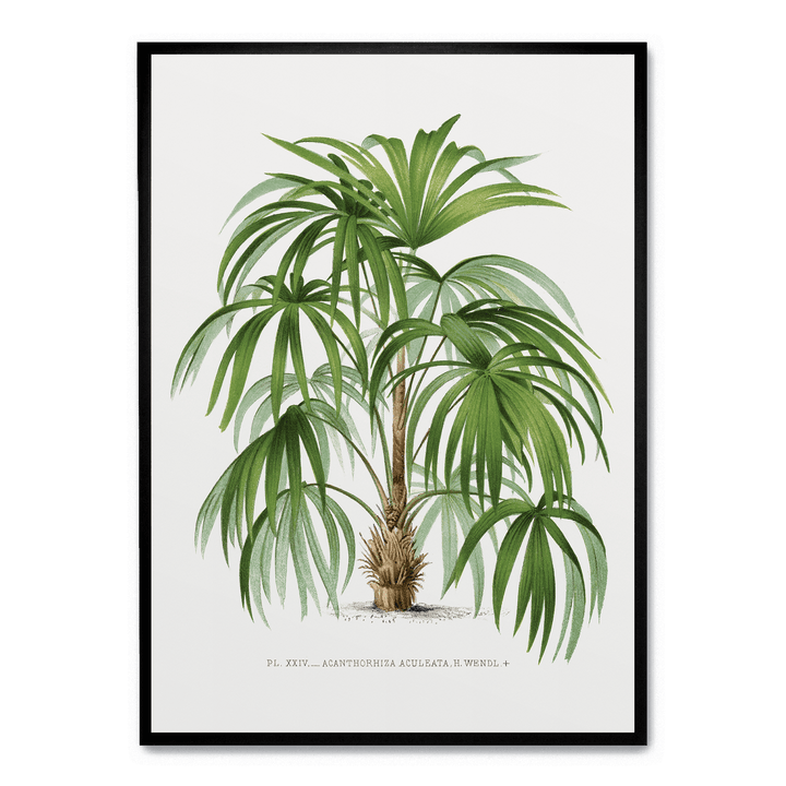 Vintage Palm Tree