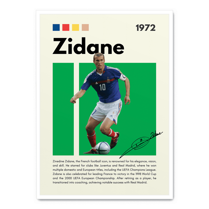 Zinedine Zidane Football Icons