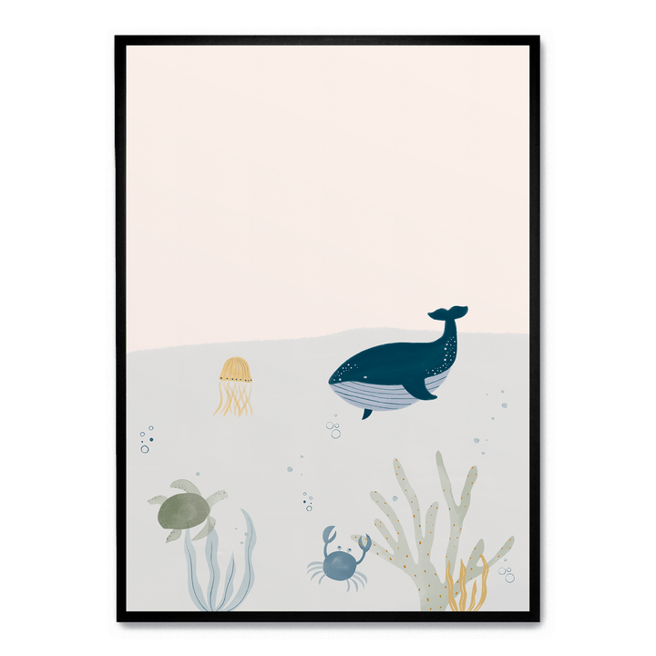Ocean Life