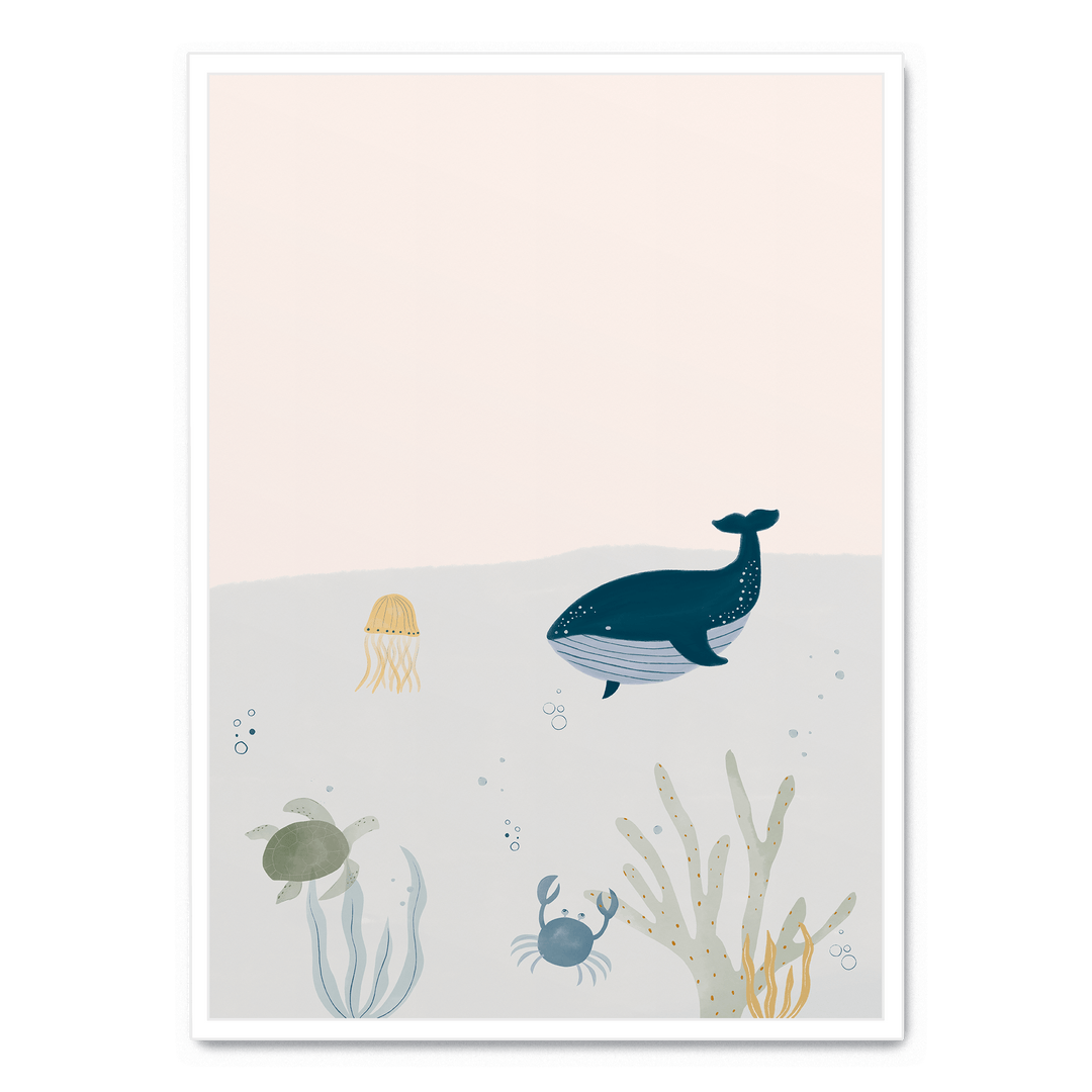 Ocean Life