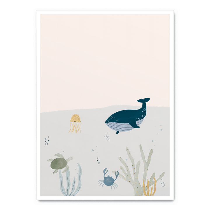 Ocean Life