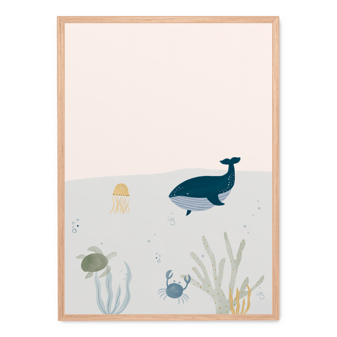 Ocean Life