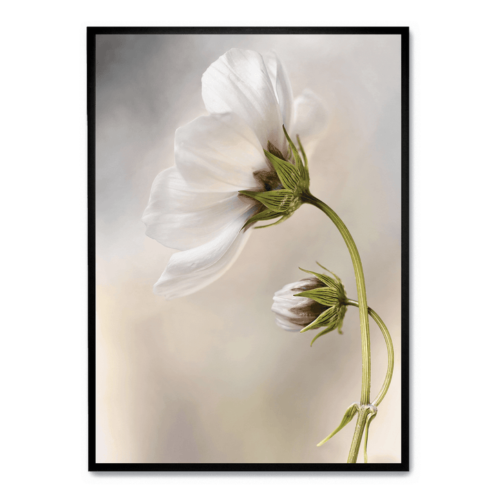 Whisper