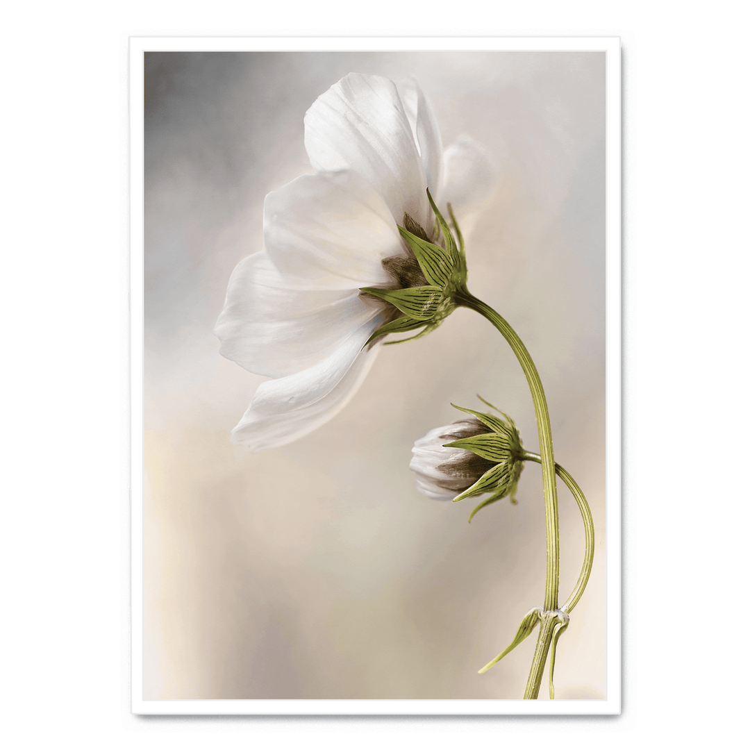 Whisper