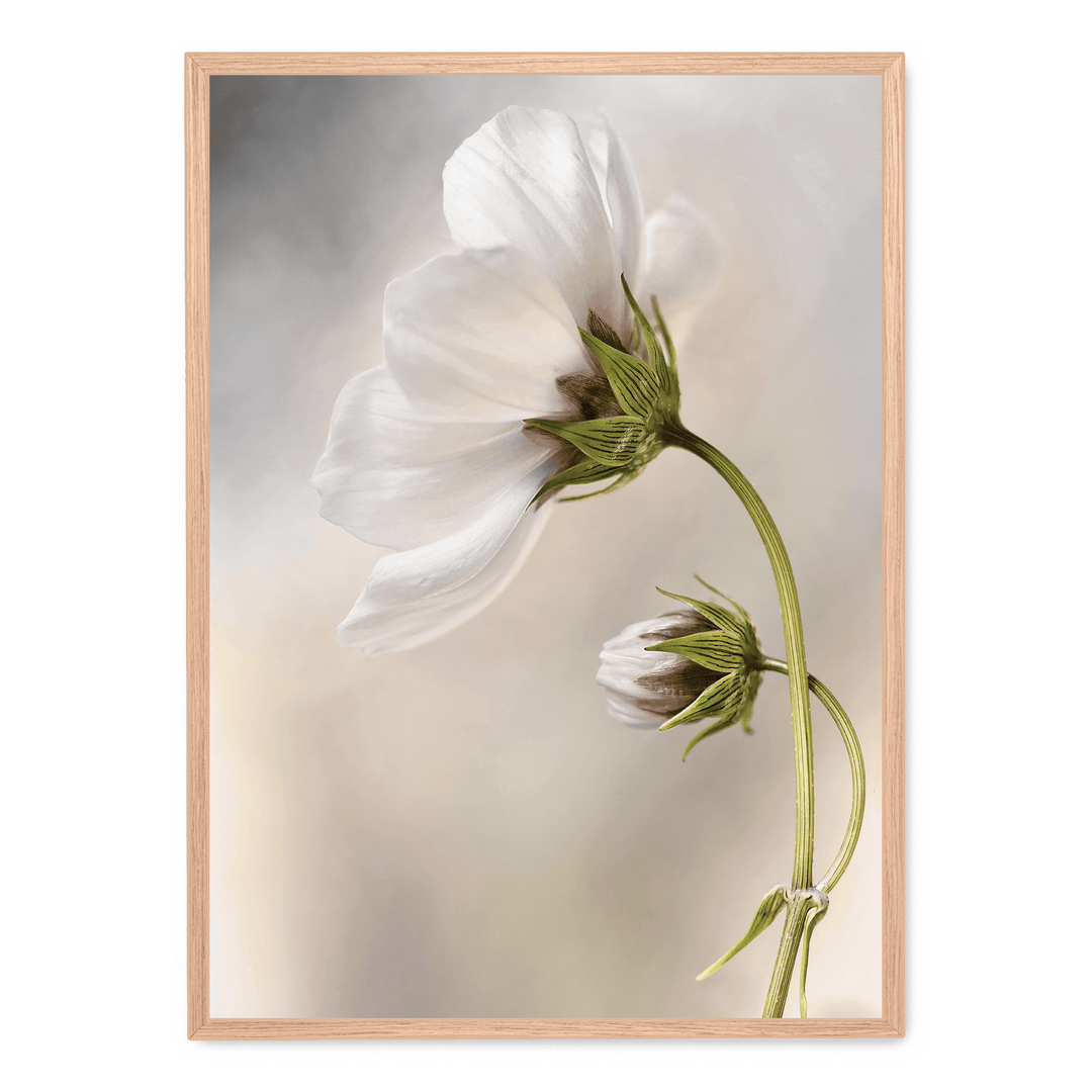Whisper