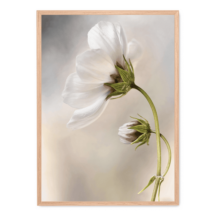Whisper