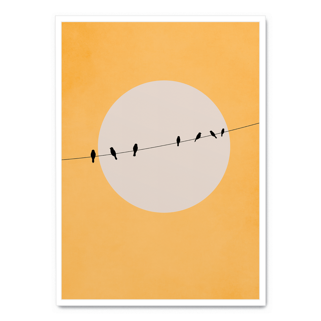 Chirping And Chilling