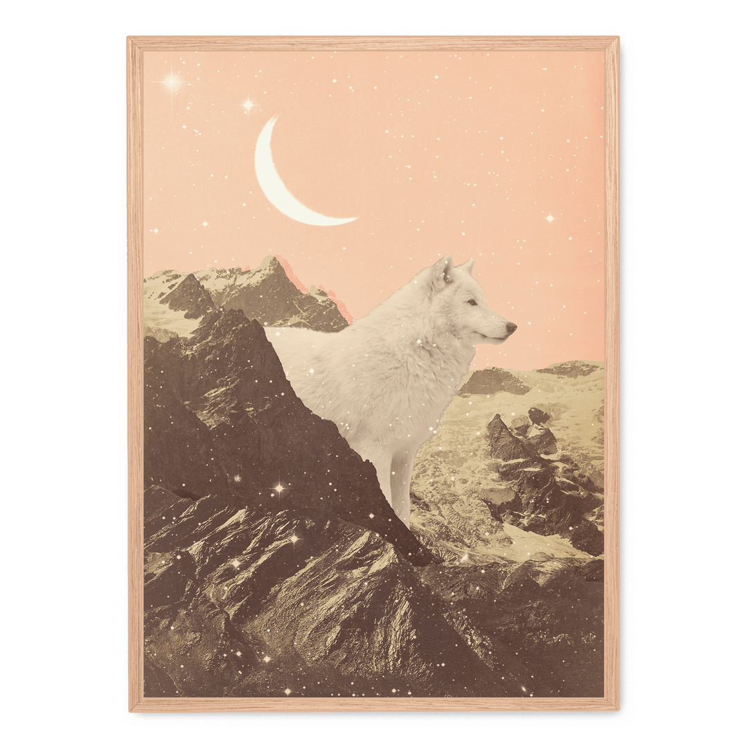 Giant White Wolf In Mountains